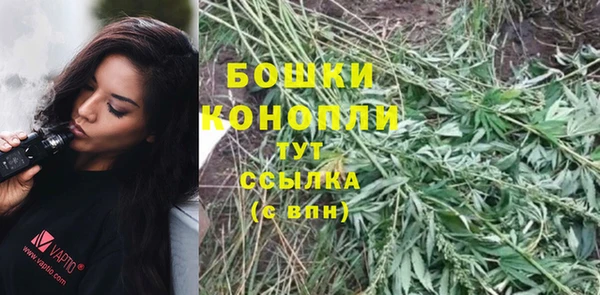 трава Каменногорск