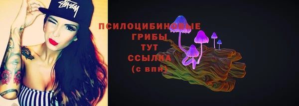 а пвп мука Каменка