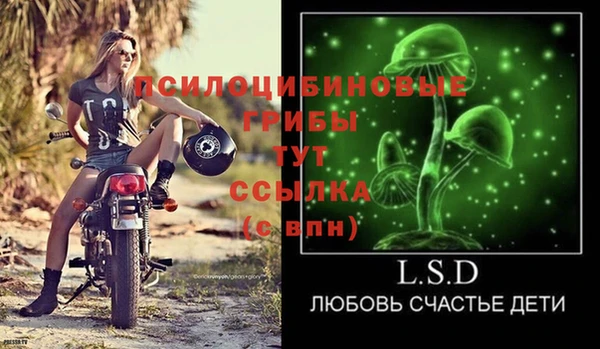 а пвп мука Каменка