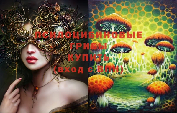 а пвп мука Каменка