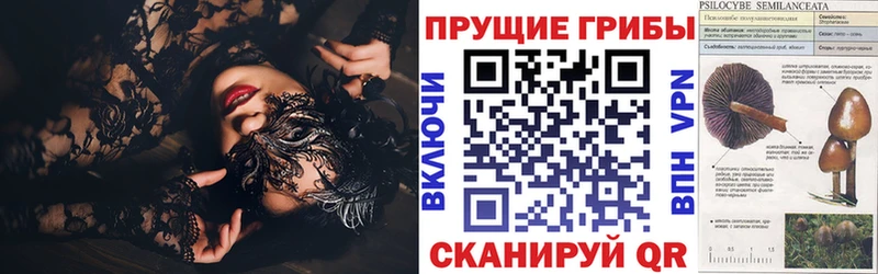 Купить  Арсеньев  Галлюциногенные грибы Magic Shrooms 